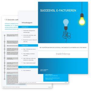 whitepaper succesvol e-factureren